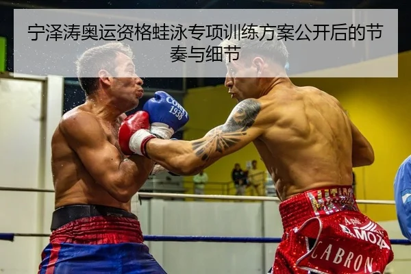 宁泽涛奥运资格蛙泳专项训练方案公开后的节奏与细节